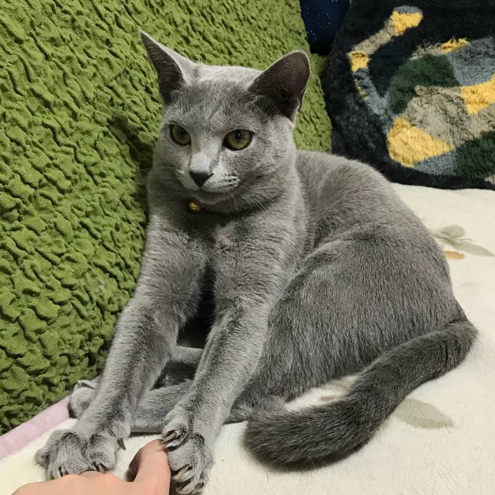 4afad3ca 3498 4c77 96d7 a94c364df67d 1520342360407