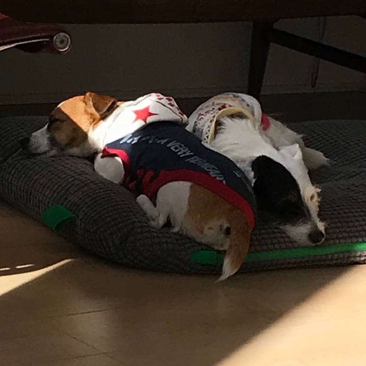 4afb2eae bcb3 4545 86e6 6675d4a9e22a 1512524650624