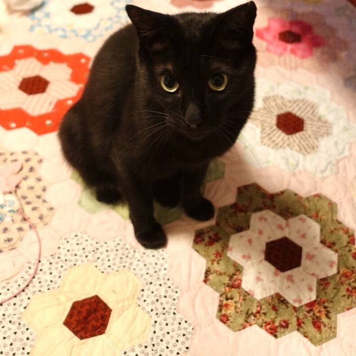 4afb56af 2042 4e6c 970b ba7dbc759c20 1521990974988