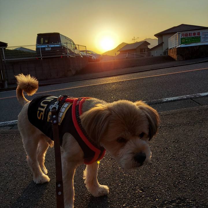 4afb56f9 396c 44d6 8816 333e9349d9e3 1648764636975