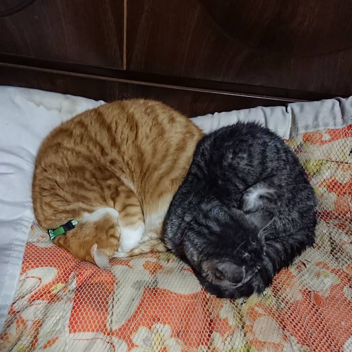 4afb8900 2f7e 4e62 9eb2 8151903d4eae 1580560702823