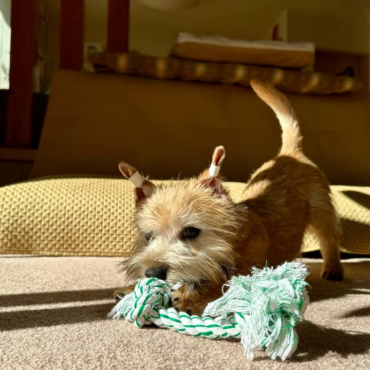 4afb9fb1 c348 4398 9865 ff4230ffb430 1705304889799