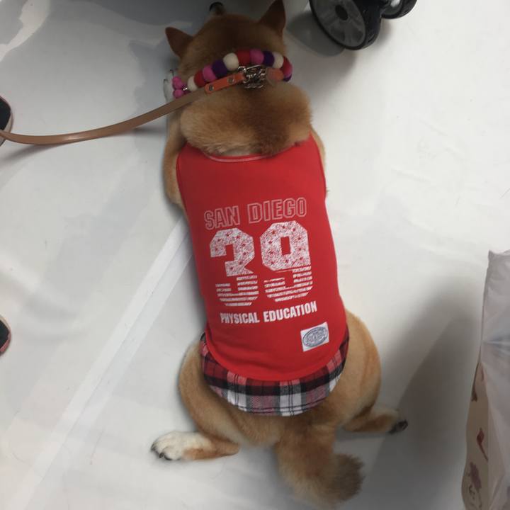 4afba66e af93 41c2 8132 86ed992b4f6d 1566624037249