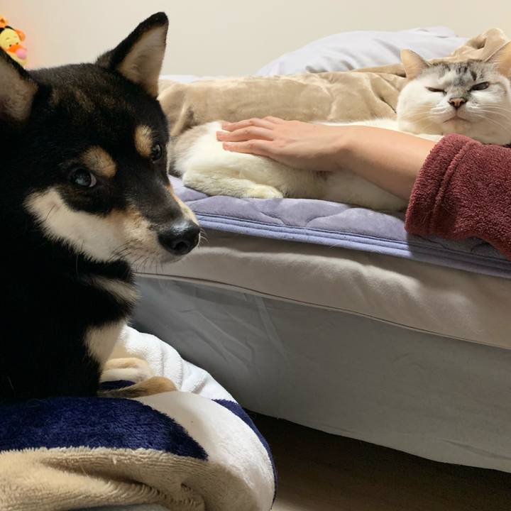 4afbacad 170d 4efa 953c 62c2b7146ae4 1610874385550