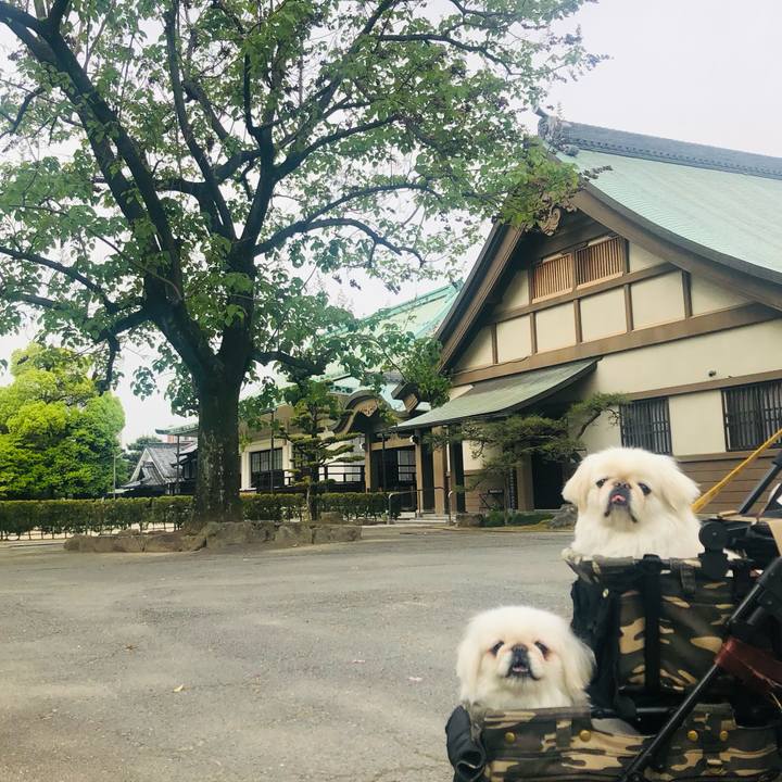 4afbbb39 2051 4607 a000 6a21da1fc6ab 1619830265817