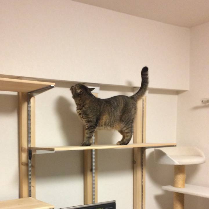 4afbc7b8 73fe 4803 bb69 09fff38f35fb 1548079414764