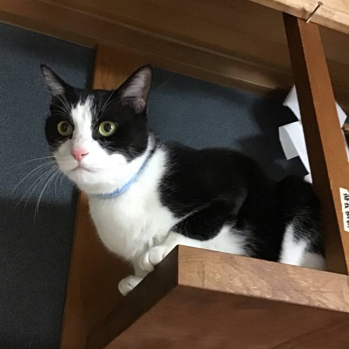 4afbd148 2e70 4e6b 8dab 00f0f6736c55 1731228565136