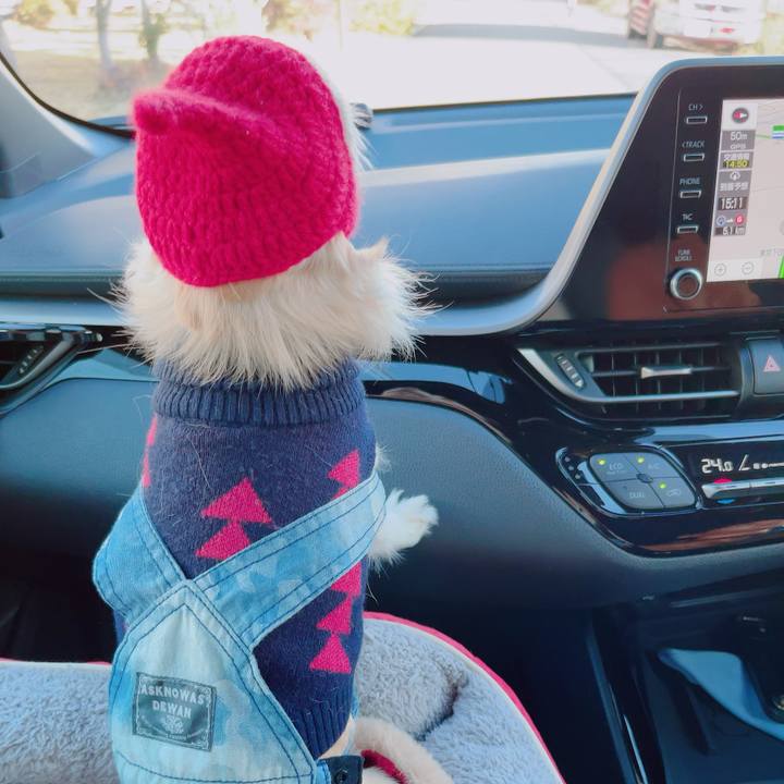 4afbf713 ed99 41b4 8c39 0b30ce3de42b 1702800694644