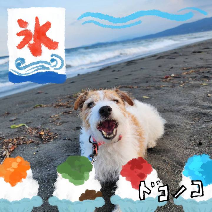 4afc1d44 010b 46d3 8c6d d4352077861e 1723180278598