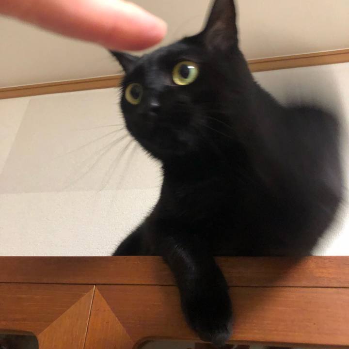 4afc2527 bac3 406f 9193 310957700612 1556111132101