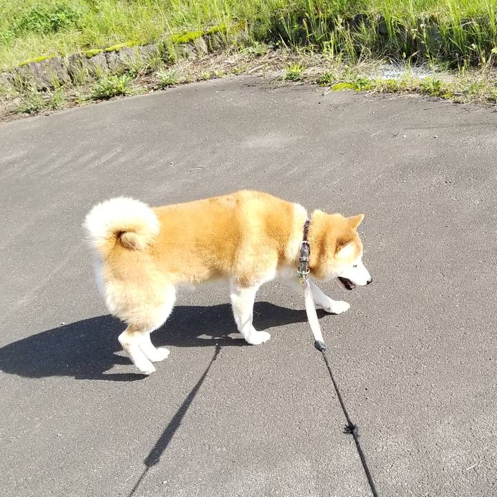 4afc3502 b821 4fd3 bcd9 ee1a7e1dc0ae 1631167517585