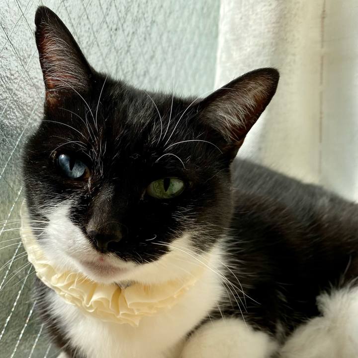 4afc68ea 99f3 49db a527 c54da0232763 1737690971379