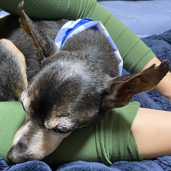 4afc69c2 f842 4084 bcd9 dc9bfeea1a82 1606116717795