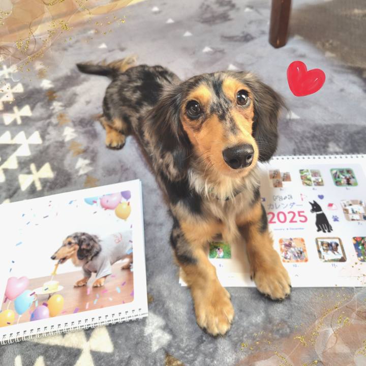 4afcdc21 810a 4d89 9217 32938ed75905 1733029899364