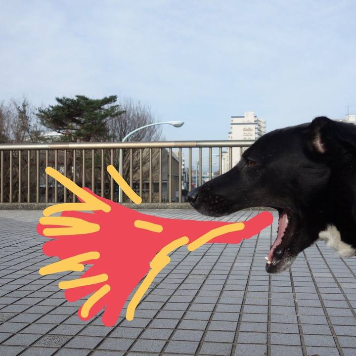 4afd4266 6883 4f93 82eb 62b3eafd34c6 1584060866223