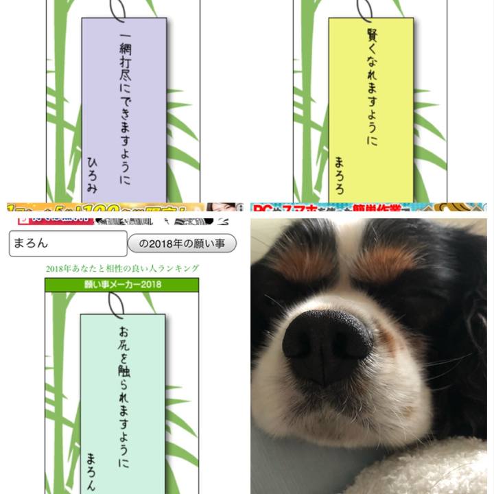 4afd563c feb0 48bb ad57 dc3348e8a927 1530925358643