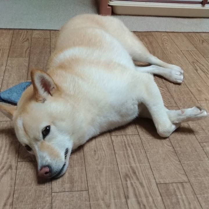 4afd83c3 8279 49a8 9fd7 13defde78ef7 1567768093065