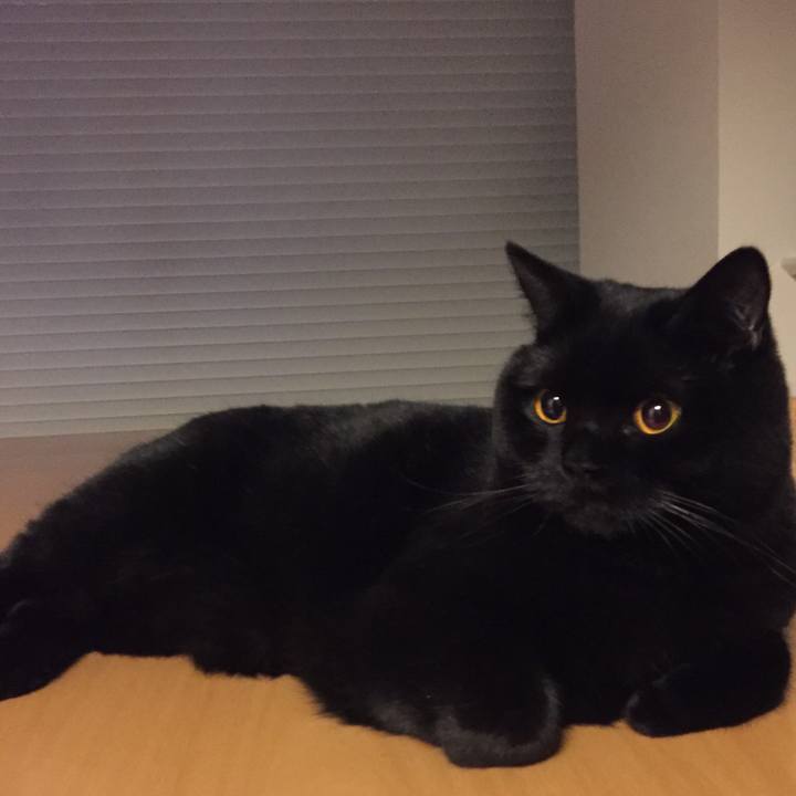 4afd9bcc 85ed 4c97 83d4 777f84cd738b 1525867721566