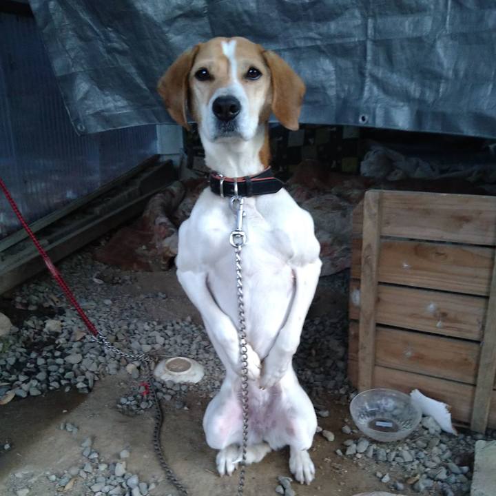 4afd9fa6 6f15 491c 89f2 0b8ecd213310 1647941728286