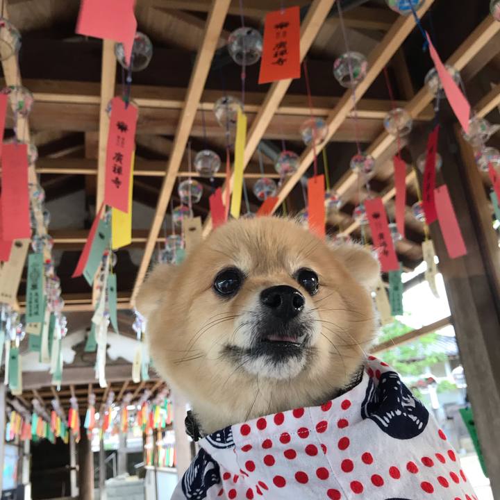 4afda516 0b30 4ac3 9ba2 18e96e3a1eef 1597157740798