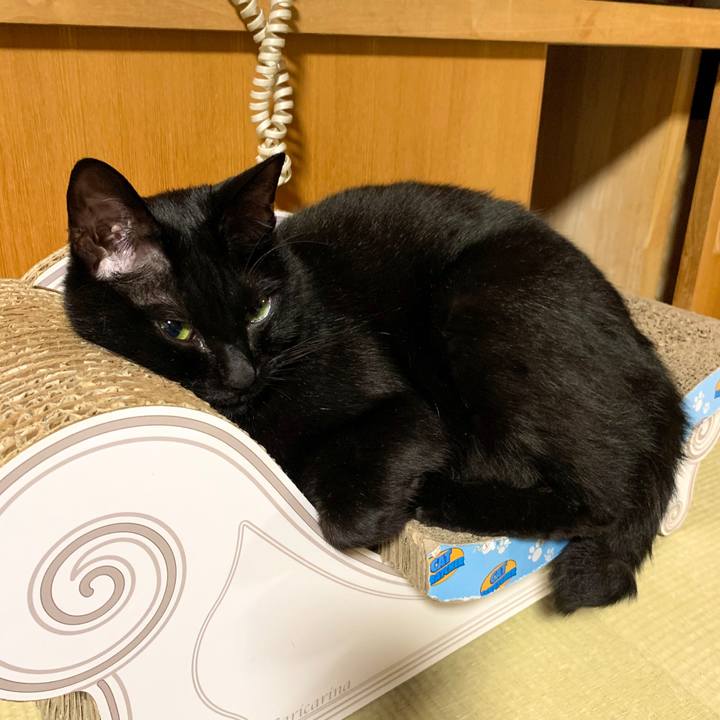 4afda53a 6cec 4fcd a204 f5a68f3987b7 1589637882445