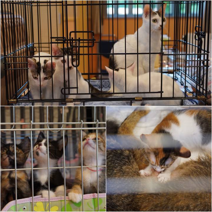 4afdc5ec f182 428e bf0c 91fd71e0562a 1566742564711