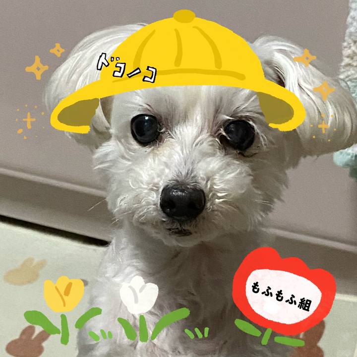 4afe0d6d 1b97 4e48 8148 fd1cf1545cf6 1712400544168