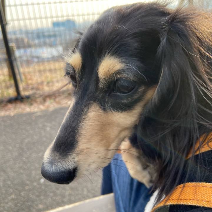 4afe464e 2bb8 44d3 9555 012713bdc5ce 1770274748087