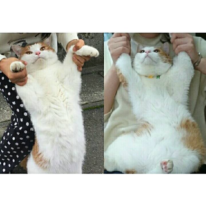 4afe4af9 5523 4495 ae15 71a013245ebc 1508159913249