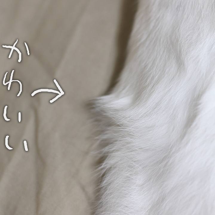 4afe6502 c5fc 4d6c b3a5 9b363d2243af 1599691000190