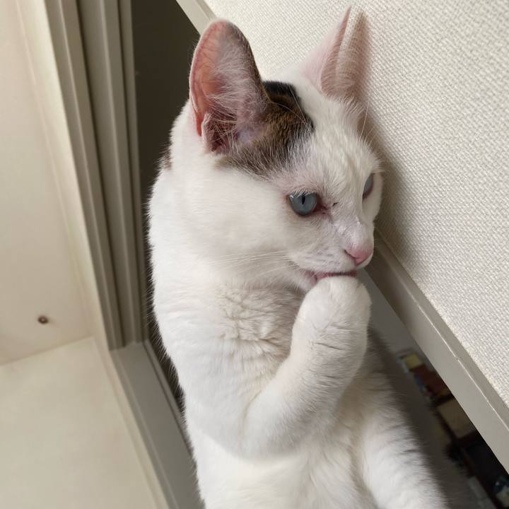 4afe7566 93e7 46c8 b01d 4581a1beeeb6 1700801314036