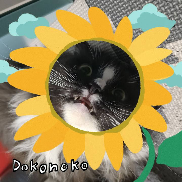 4afeca4c 3490 41bd a05b fe39f6dd4d00 1723286956828