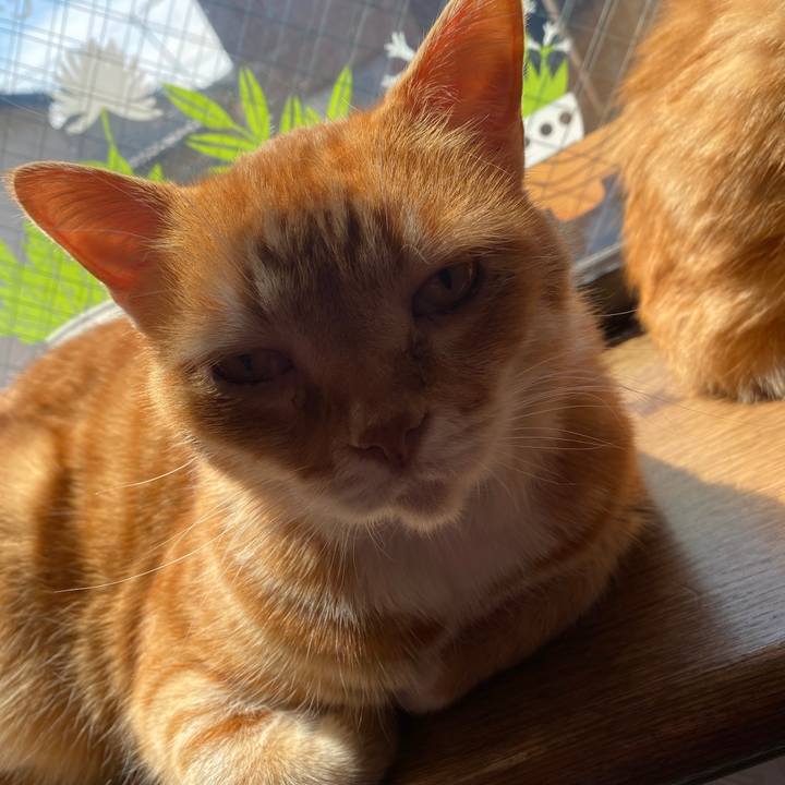 4afed112 7182 4224 8360 678e963f03f9 1587607534745