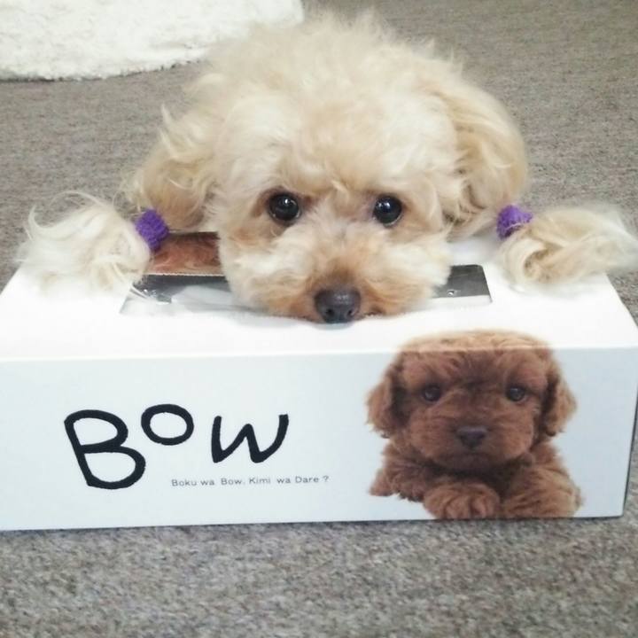 4aff0b65 256c 435e 97f8 f79106b80a53 1531551665296