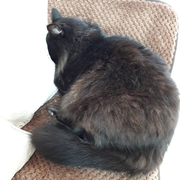 4aff10d1 827f 43f3 bac9 d26e16e309e0 1518822766044