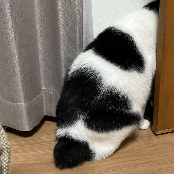 4aff5ab7 8d10 4945 b5e2 2eb1feedc884 1572523643371