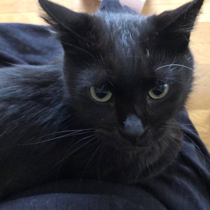 4aff5c5e 64bf 4aae b4c6 0e53abdc13d8 1599864868437