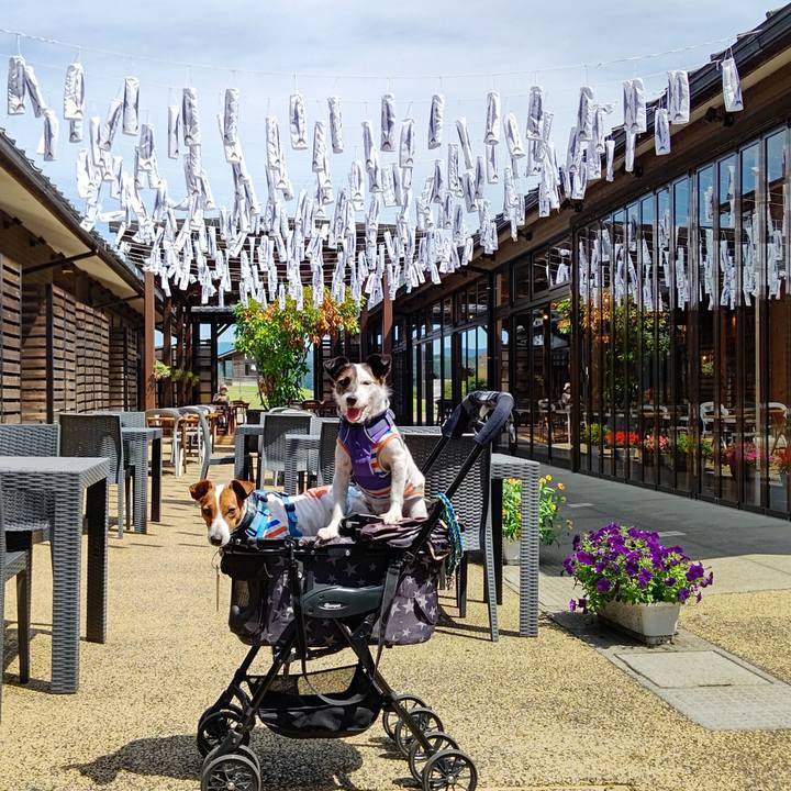 4aff605c ead5 4f5c add7 f2791fcaf497 1657941038291