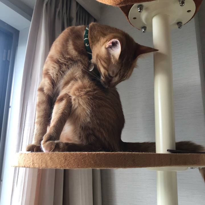 4aff6e01 4113 4da5 af46 fb3193f26684 1629846984506