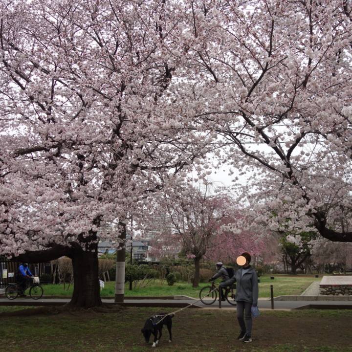 4aff7d95 1aa9 44d3 a49b 73b15ab0b491 1648516273077