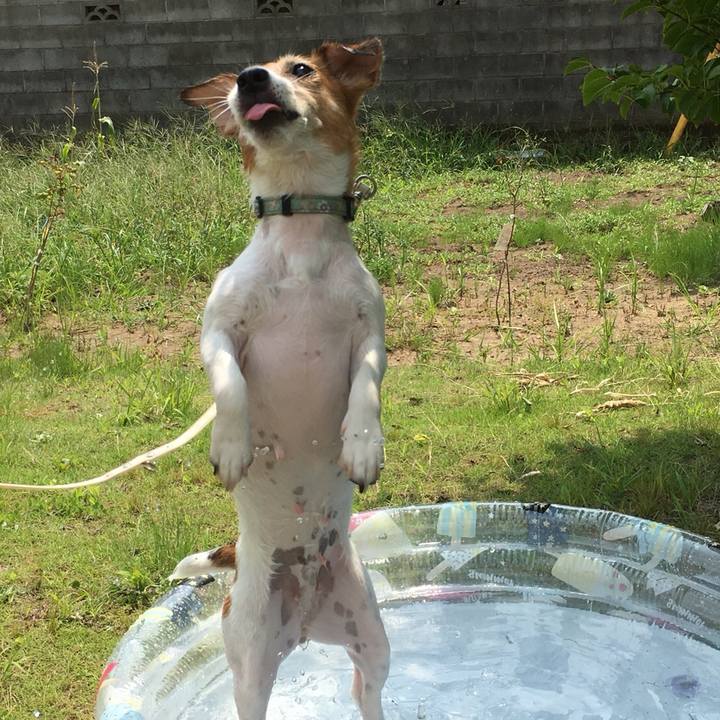 4aff988a 256b 4015 9c87 c6052fc80bcd 1533473048956