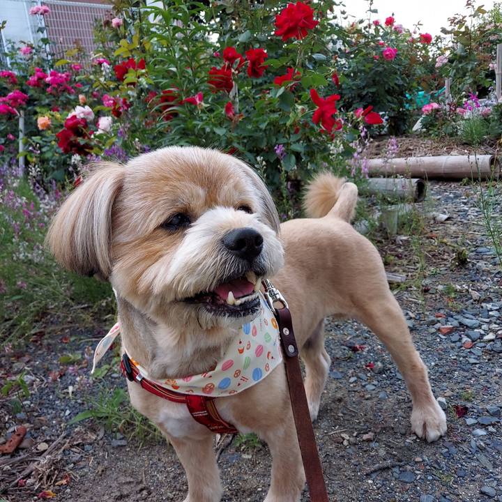 4affcd99 38f5 49b9 a01f 9b50f10bf77c 1620640463180