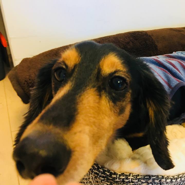 4affcff3 8c83 4620 b4e5 6e251bfd4fc6 1514989391799