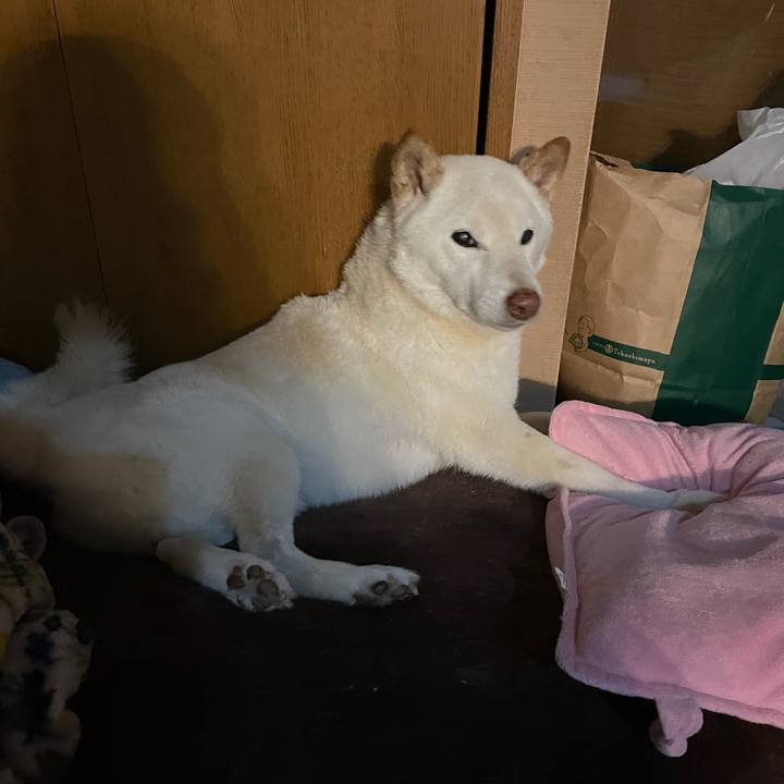 4b000fb8 7cd5 4fc6 9ffa a30bacfdbde1 1638713458375