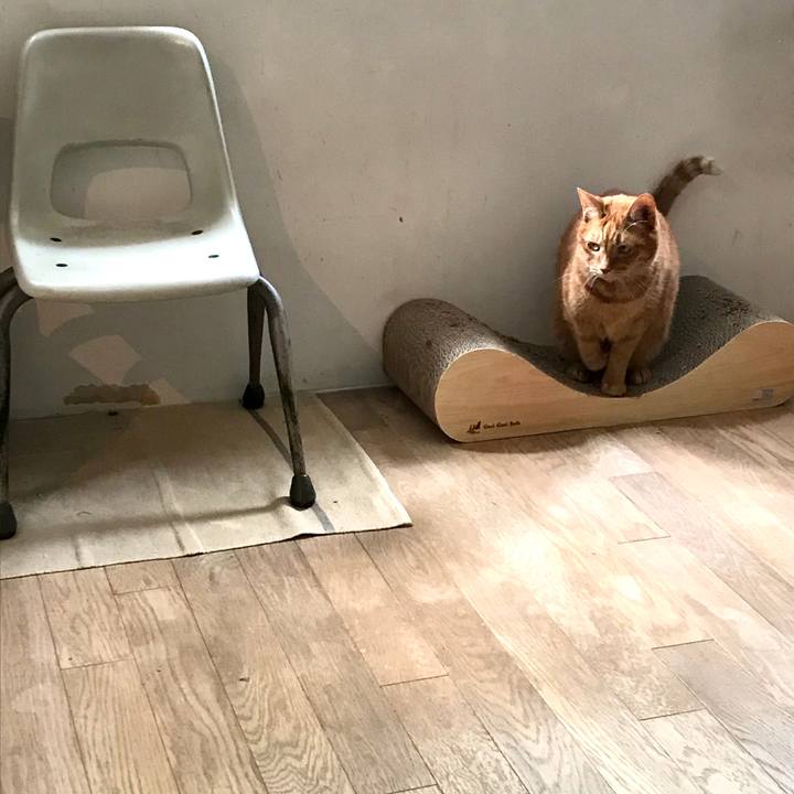 4b002ce5 400a 45d9 aabb c23d2a4a5728 1577169348496