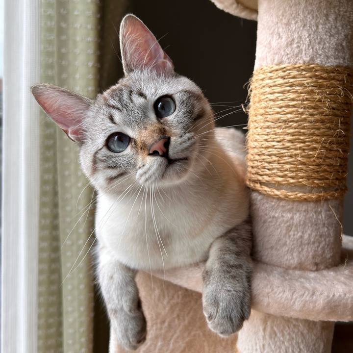 4b005c45 f0ff 47bc 90bb b6bb4c364515 1748481559081