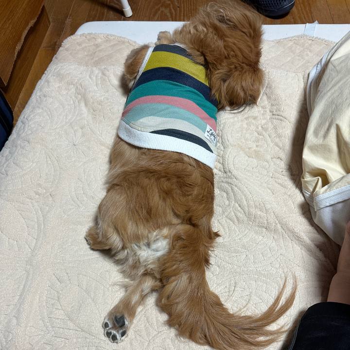 4b008bd8 a601 4823 9c52 82f790cb51d7 1702502356636