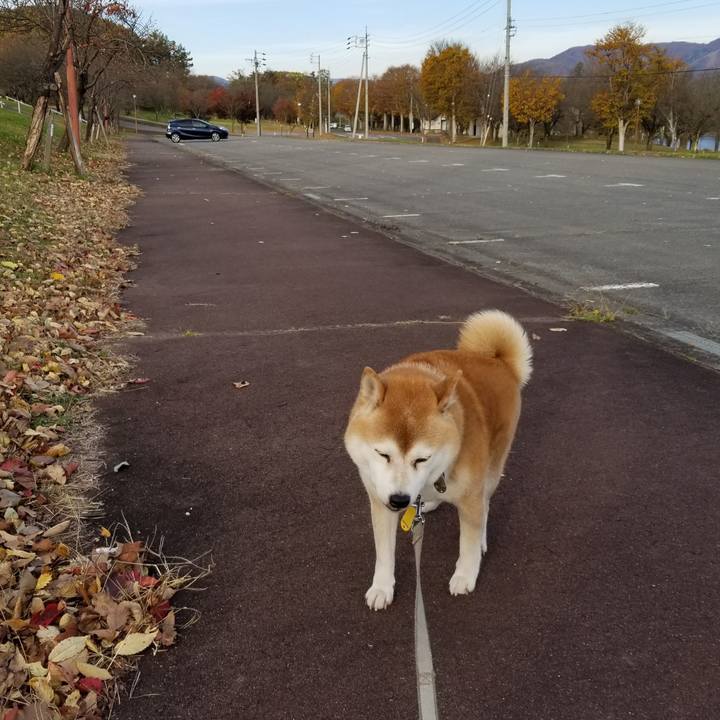 4b00a914 e5f6 408a bd8f 3cef706be54e 1636353072519