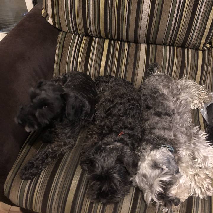 4b00ad97 94ea 41ac acd9 ab27dbdb4d64 1555420582055