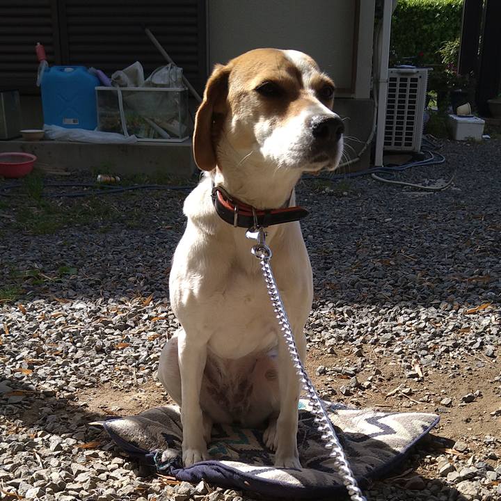 4b00c273 0895 4804 ae02 7d0c96e3c528 1618470817342